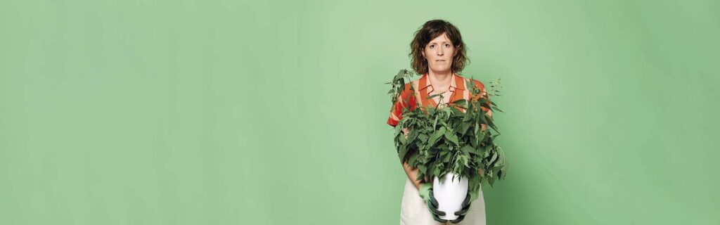 Pluk eventueel de Dag in Houten