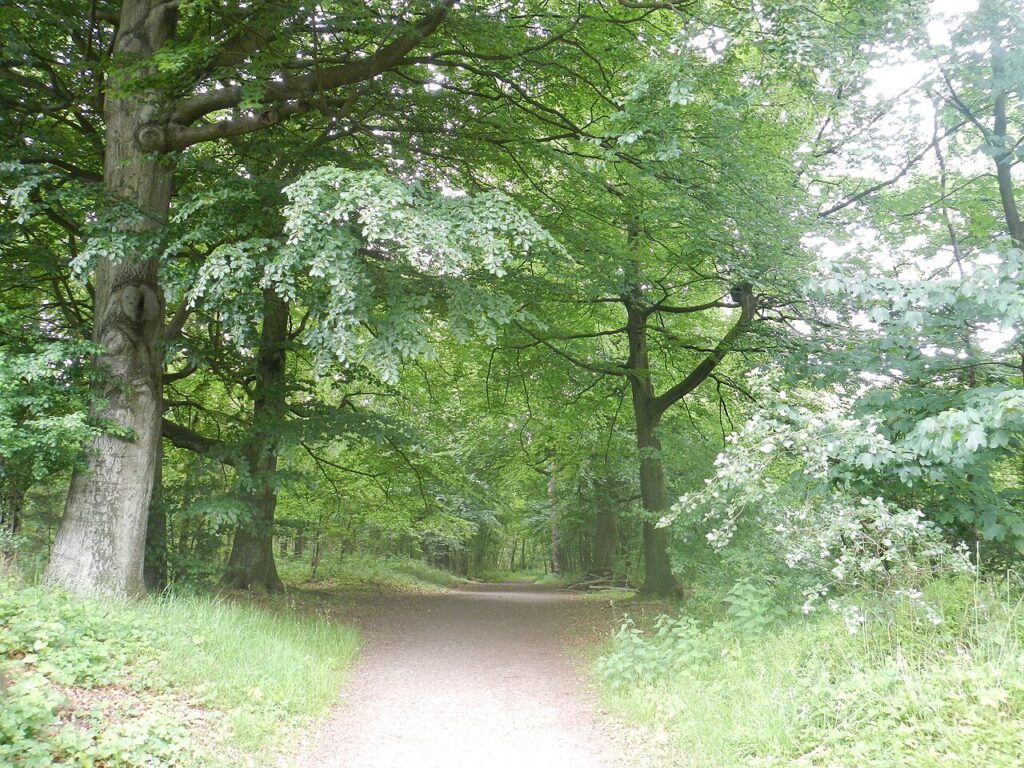 Houtfort 2026 in Houten