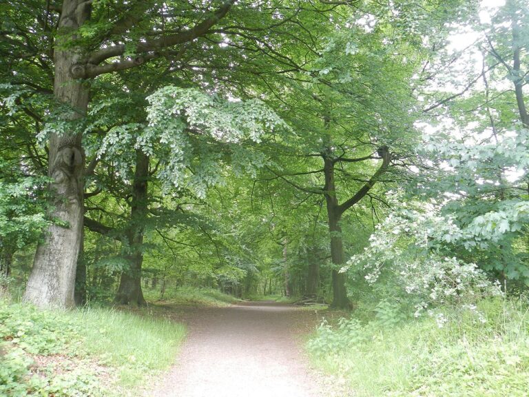 Houtfort 2026 — natuur in Houten