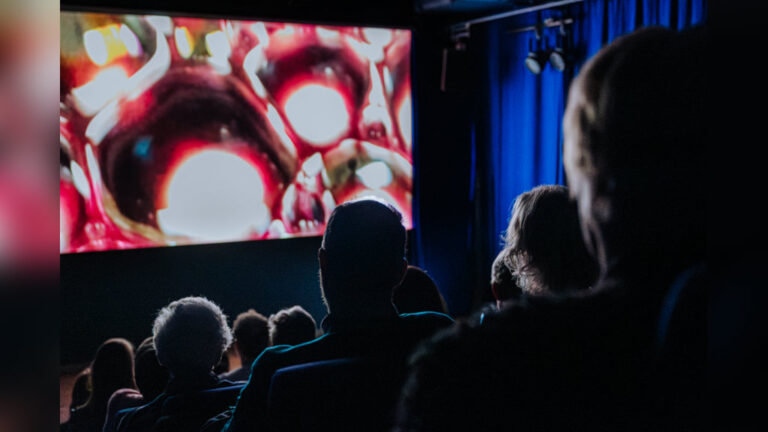 Tweede Houtens Buurtfilmfestival — muziek in Houten