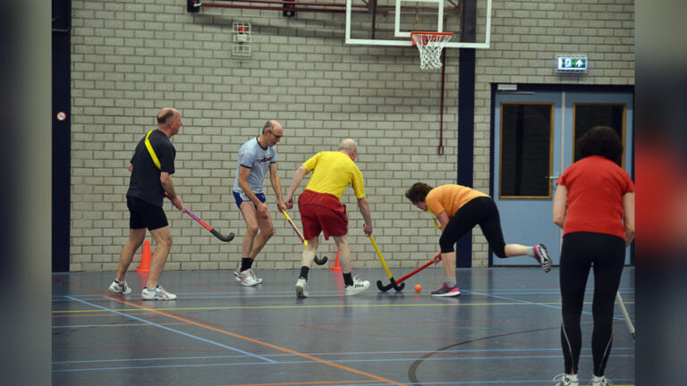 Wil je sportief, ongedwongen en gezellig sporten? Kom balsporten bij Sportieve Recreatie Houten (SSRH)! — sport in Houten