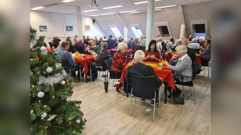 Easy Sunday Bridge Houten — uitgaan in Houten